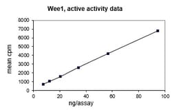 Eurofins DiscoverX Wee1 Protein, Active 10 &mu;g | Buy Online | Eurofins DiscoverX | Fisher Scientific